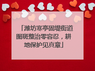 潍坊寒亭固堤街道图斑整治零容忍，耕地保护见真章